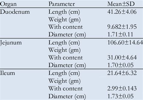 measurement of small intestine thickness|The Challenge of Small Intestine Length .